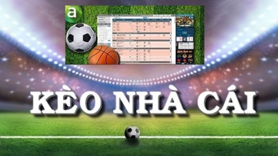 Kèo nhà cái - Tìm hiểu chi tiết về cách đọc kèo chuẩn nhất