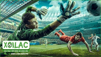 cultureandyouth.org : Nền Tảng Xem Trực Tiếp Giải Bóng Đá Miễn Phí Cho Người Hâm Mộ