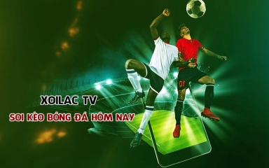 Xoilac TV - Bạn đồng hành không thể thiếu của mọi fan hâm mộ